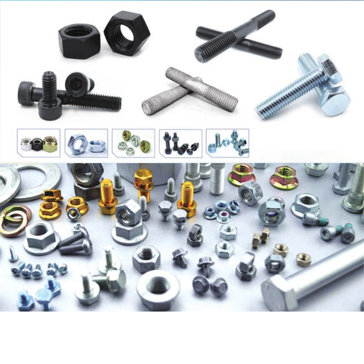 Electro Galvanized Hot DIP Galvanized Black Bolts and Nuts Carbon Steel and Stainless Steel Material Grade 8.8 Fastener